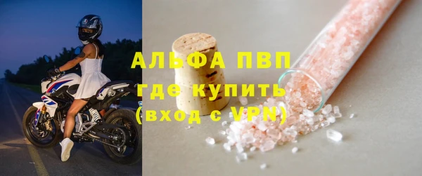 ПСИЛОЦИБИНОВЫЕ ГРИБЫ Дмитриев